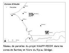 Localisation des sites WAAPP RECOR © T. Brévault (Cirad)