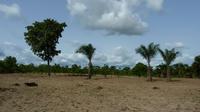 Paysage Pélébina Nord-Ouest Bénin © Cirad /P. Marnotte
