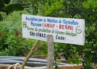 Site de production de maraîchage biologique à Sémépodji (Sud-Bénin) © Pauline Bendjebbar